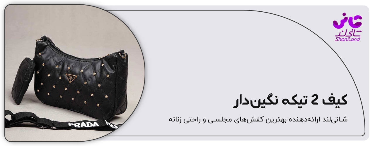 کیف 2 تیکه نگین دار